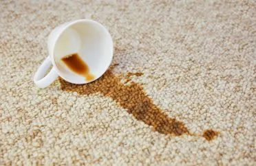Stains & Odor Removal