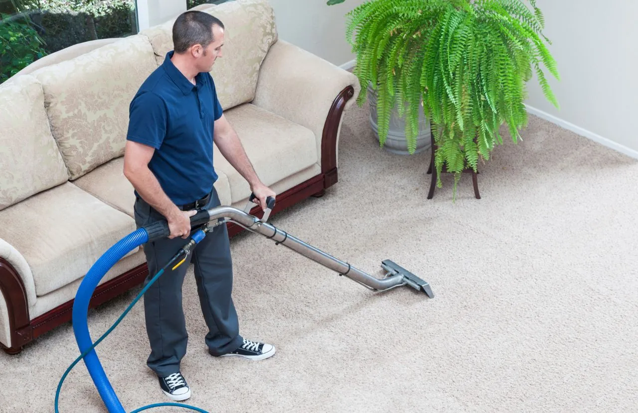 Freshly cleaned carpet after professional service
